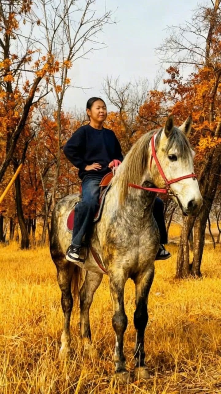 Image transform video