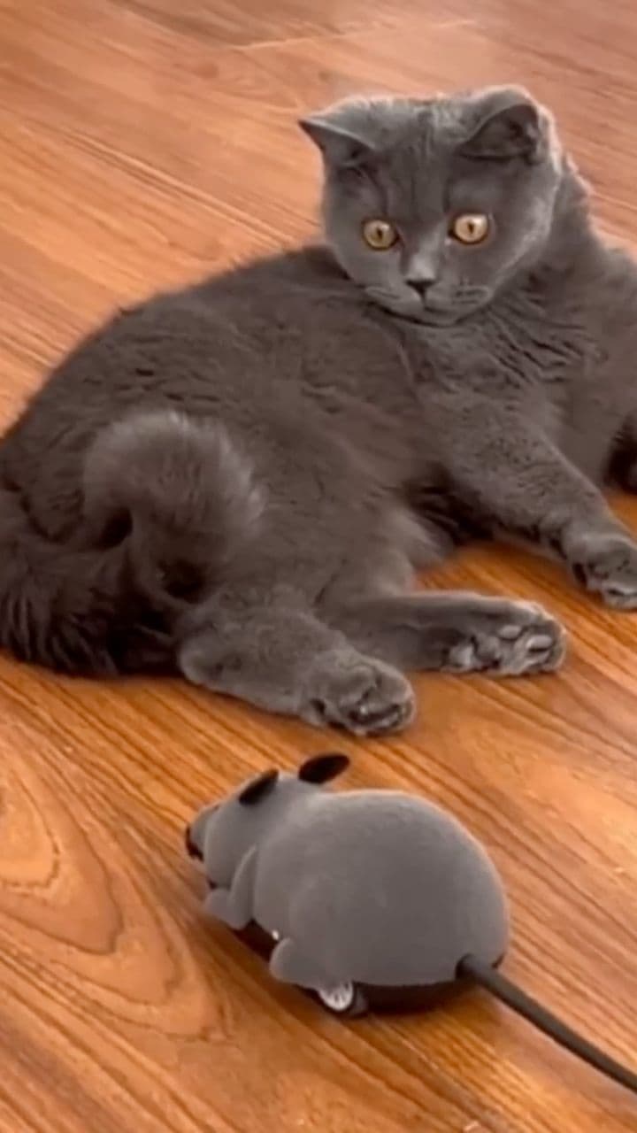 Unnecessary Aggression