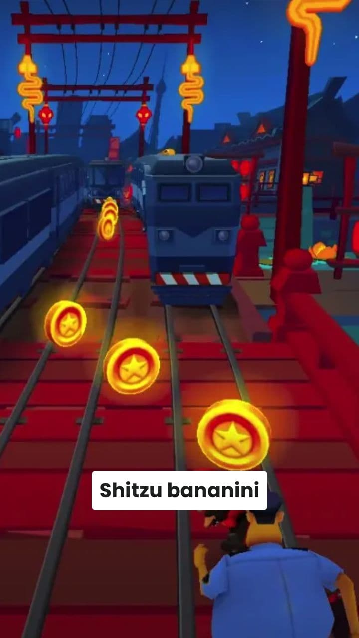 Shitzu na floresta em busca de amor