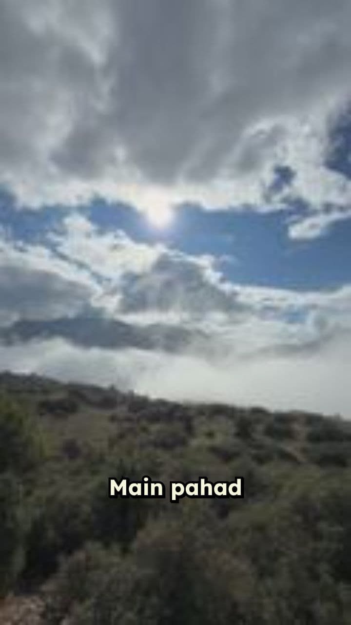 अरावली की चीख