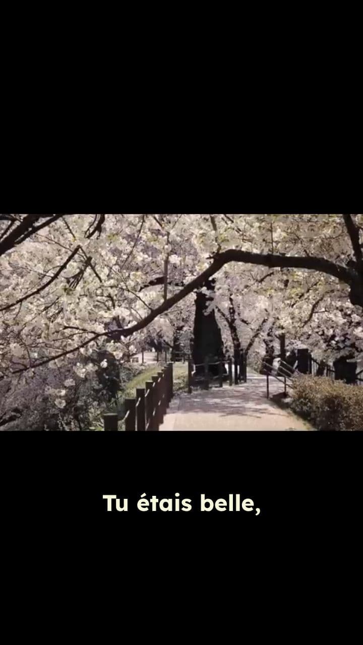 La Belle et la Bête