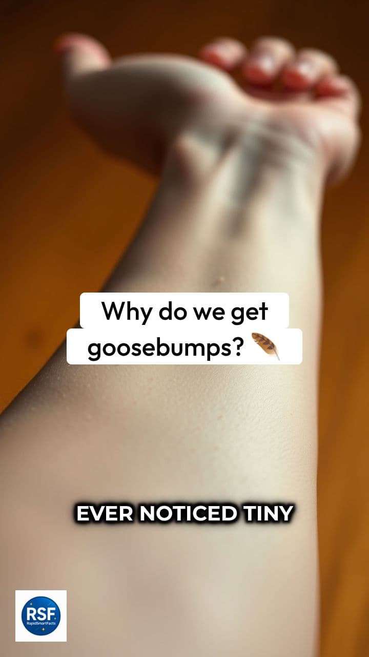 The Ancient Reflex: Why We Get Goosebumps