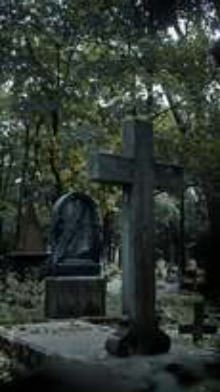 Moon or Tomb: Crypto Bagholder Vibes