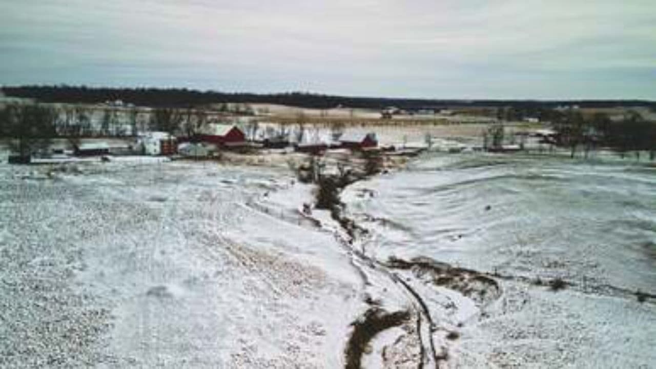 Happy Farm Animal Sounds