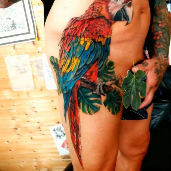 Image transform video