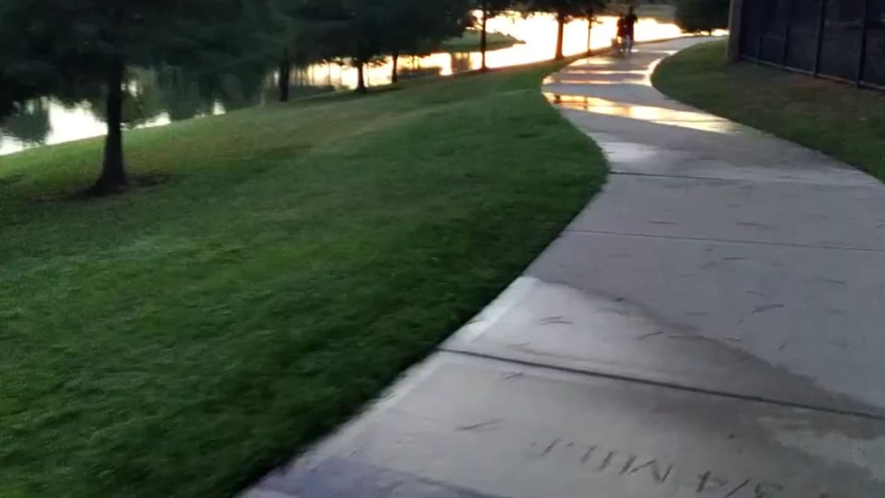 Action Video Creation Request