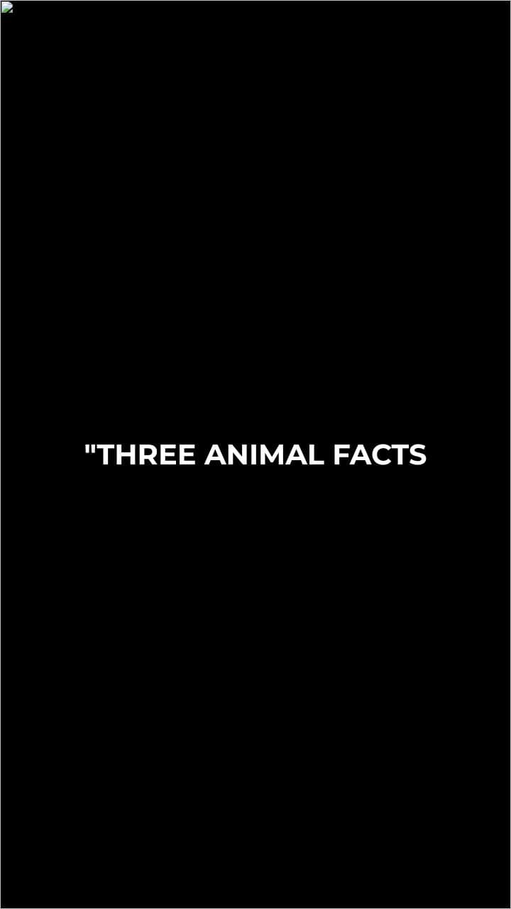 Amazing Animal Facts You Won't Believe
