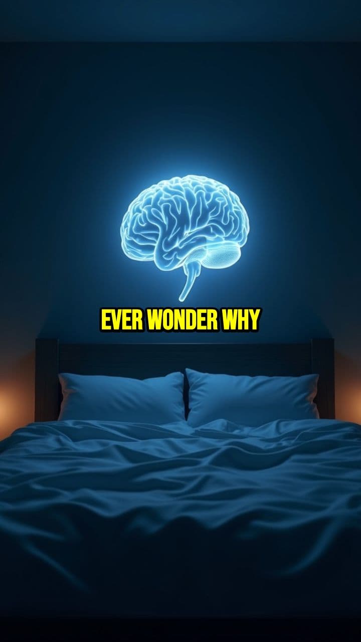 The Brain's Nightly Cleanse