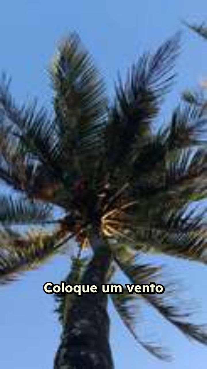 Efeito de vento na imagem