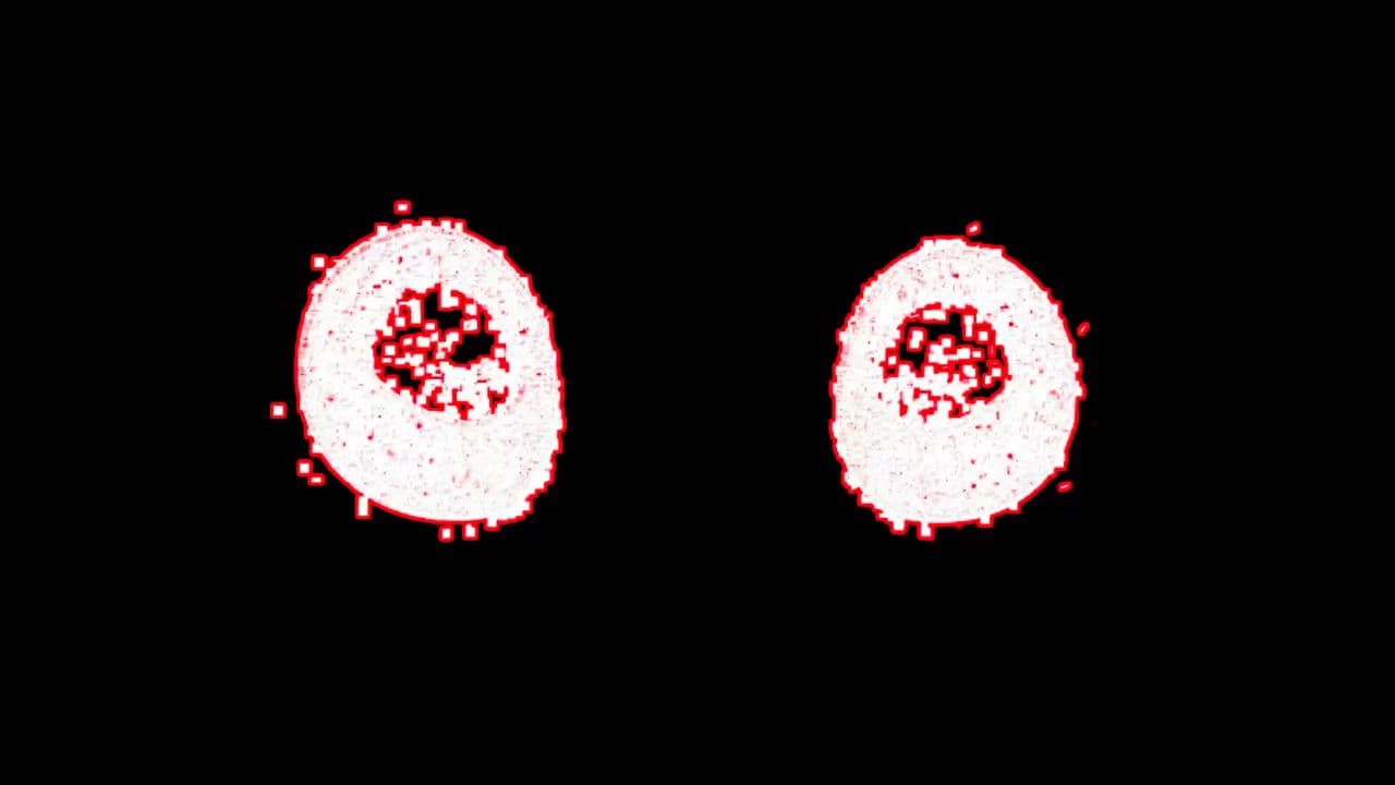 Rythmes Afro-électroniques enivrés