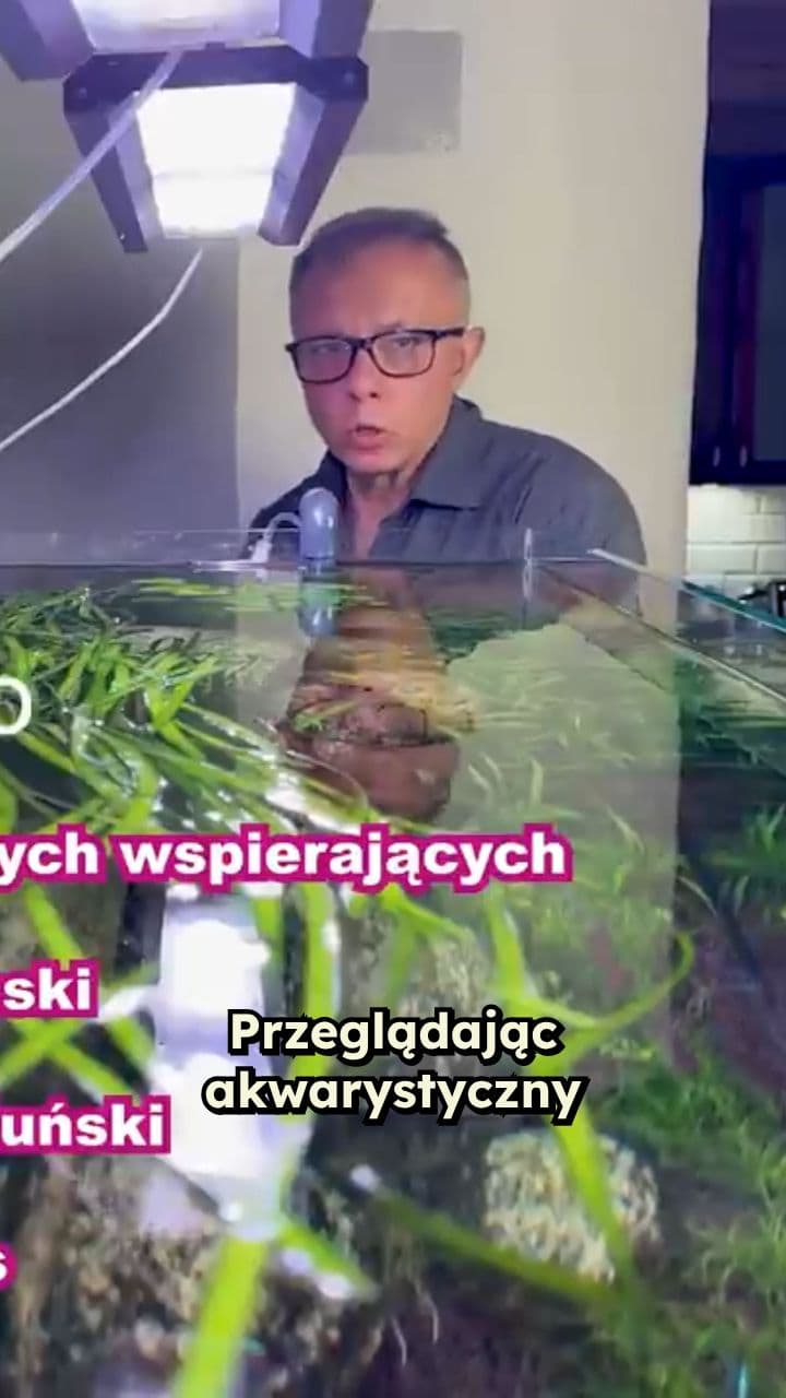 To Nie Bakterie Nitryfikacyjne Zjadają Kupy i Liście!