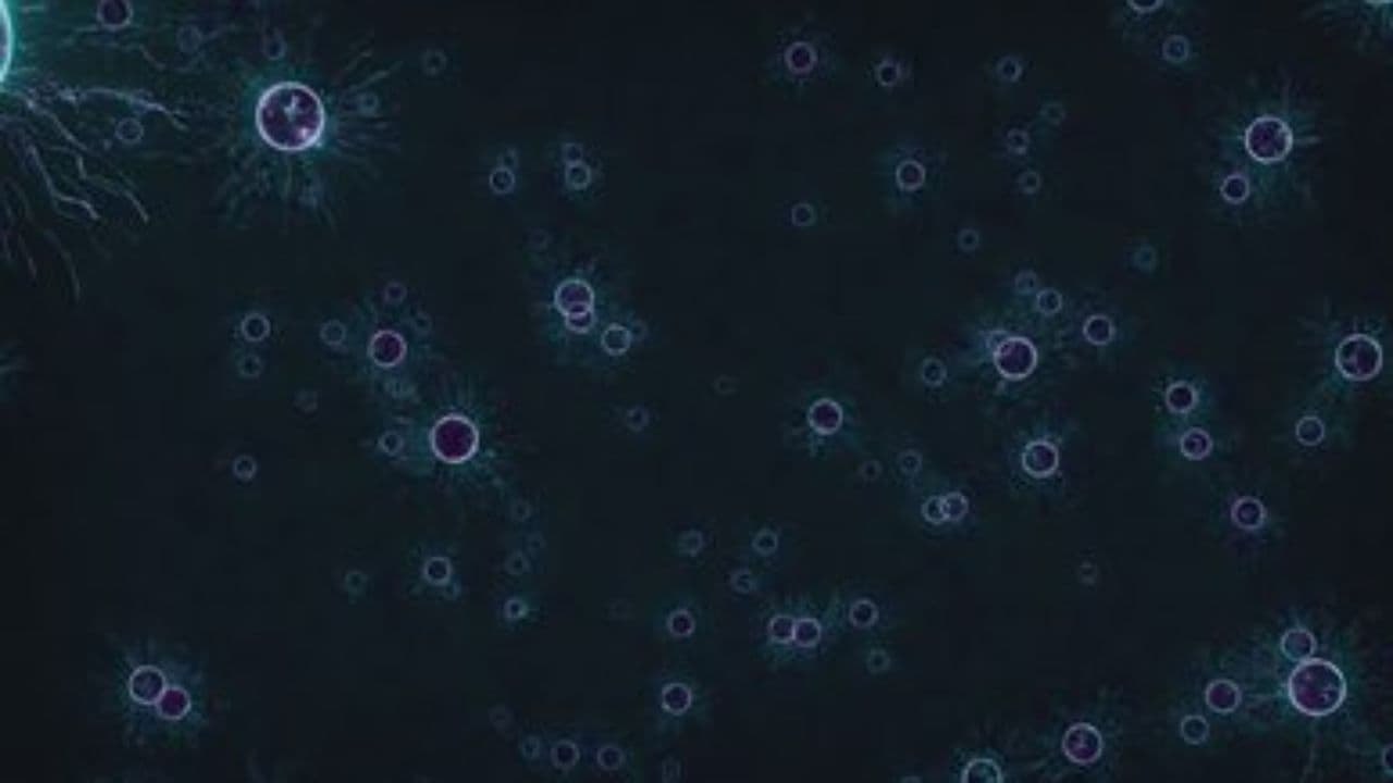 গল্পের ফাঁদ