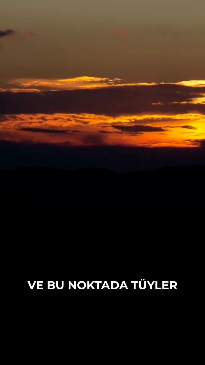 The Sleepers of the Cave Will Awaken to Join Mehdi's Army