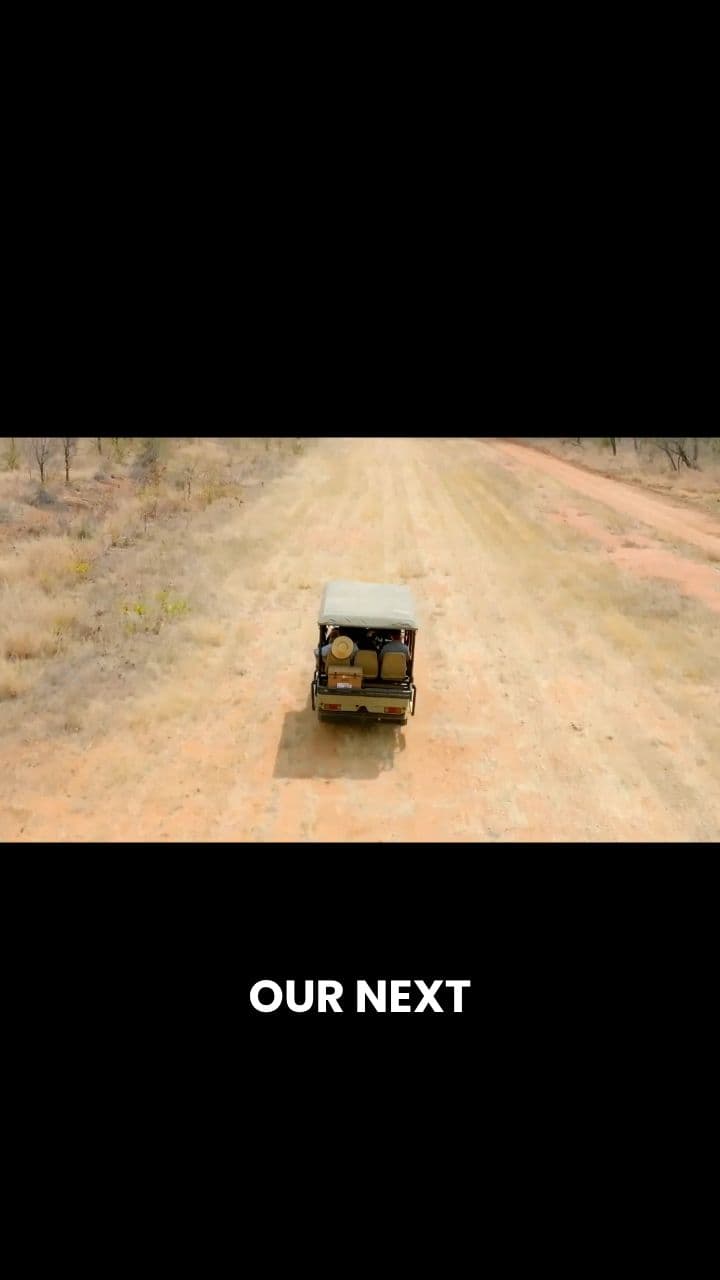 Rescuing Rhinos from a Helicopter