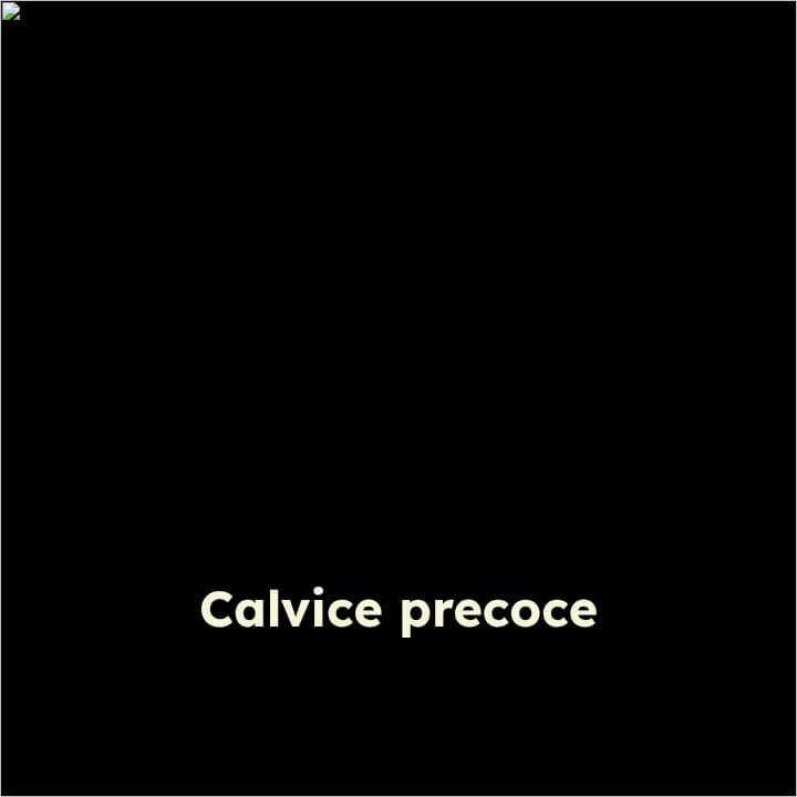 Recuperação capilar após calvície precoce