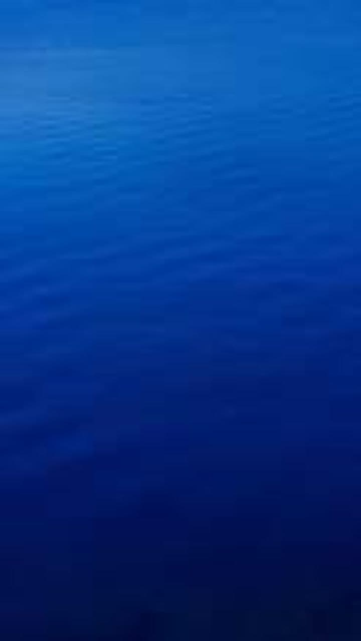 Sous la mer, au cœur de la rage