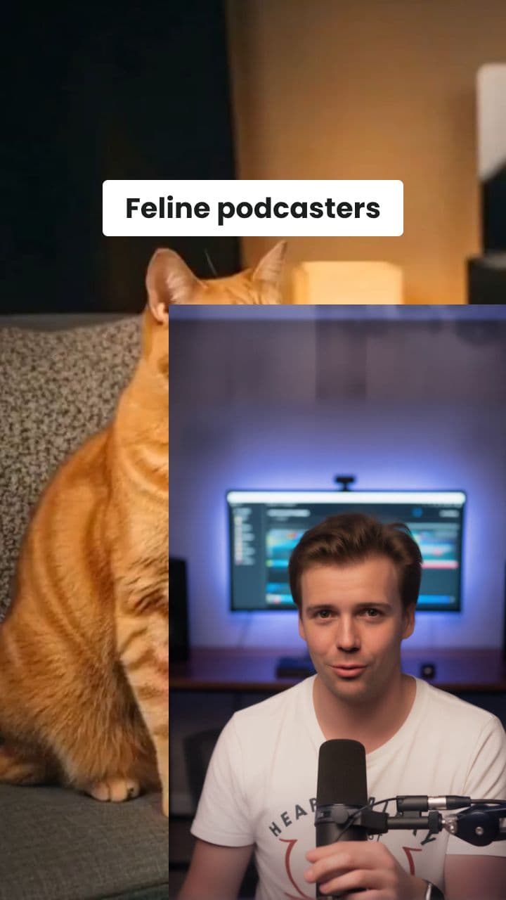 Feline Podcasters Discuss AI Cat Videos