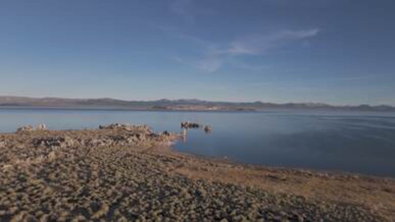 Grateful to Mother Universe