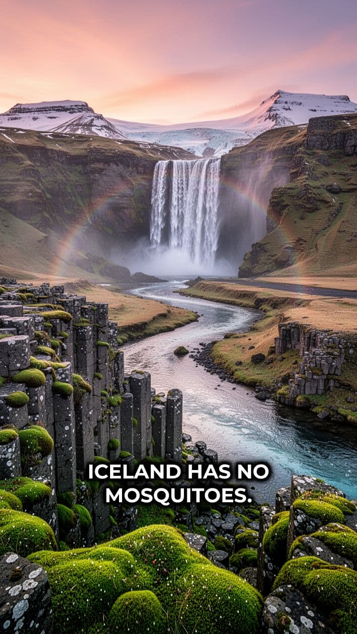 Surprising Facts About Iceland