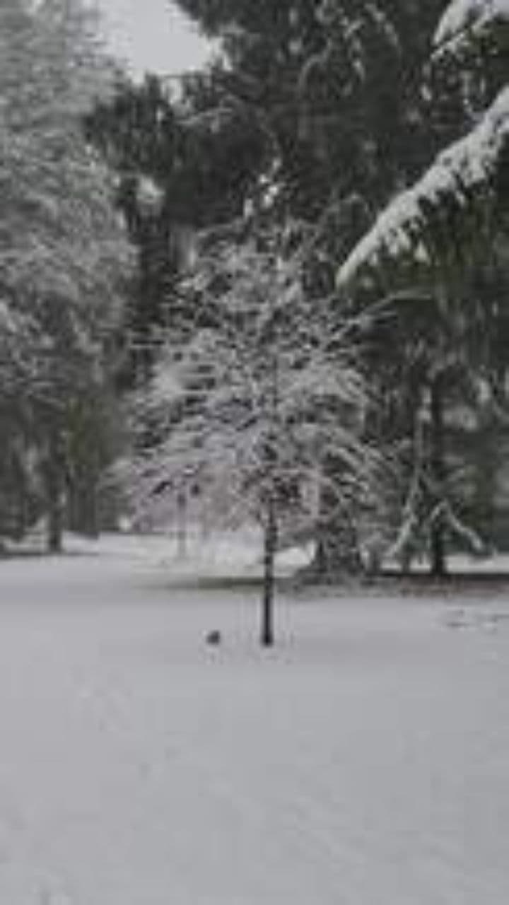 Christmas Time With Courtney