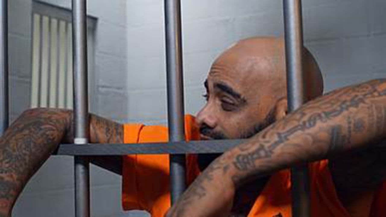 CIA Torture Experiments in Overseas Black Sites