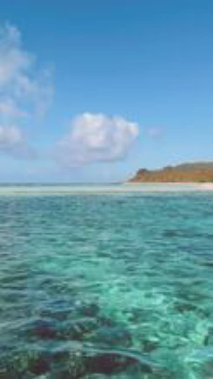 Cuidando bajo el sol