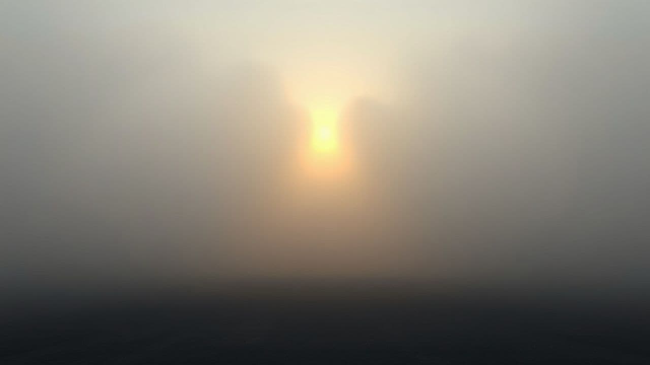 Drive Through My Home