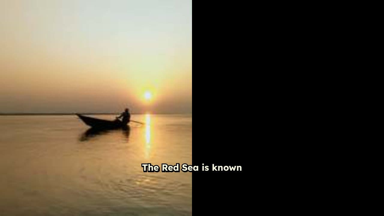 Diving in the World's Biggest Hole