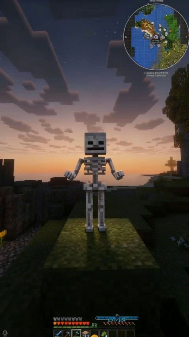 Image transform video