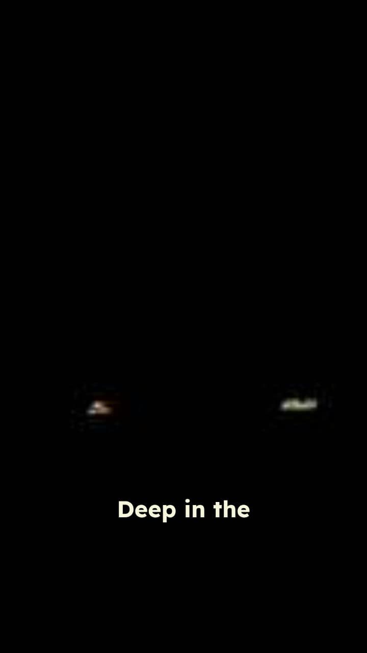 The Carpathian Hotel