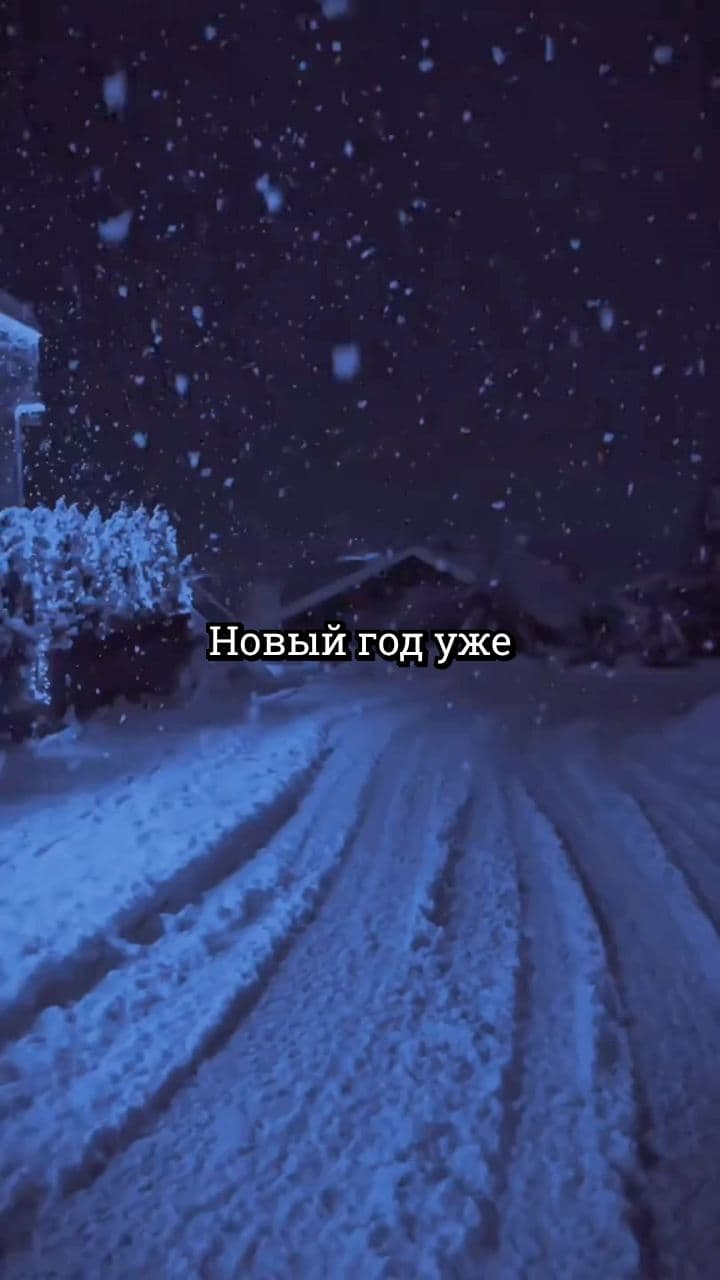 Новый год в кругу семьи и друзей