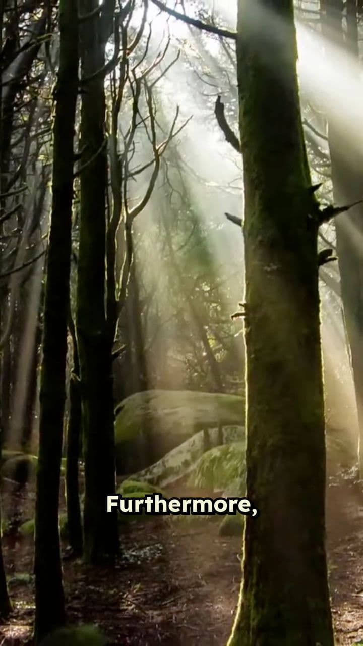 The Human Cost of Resource Extraction