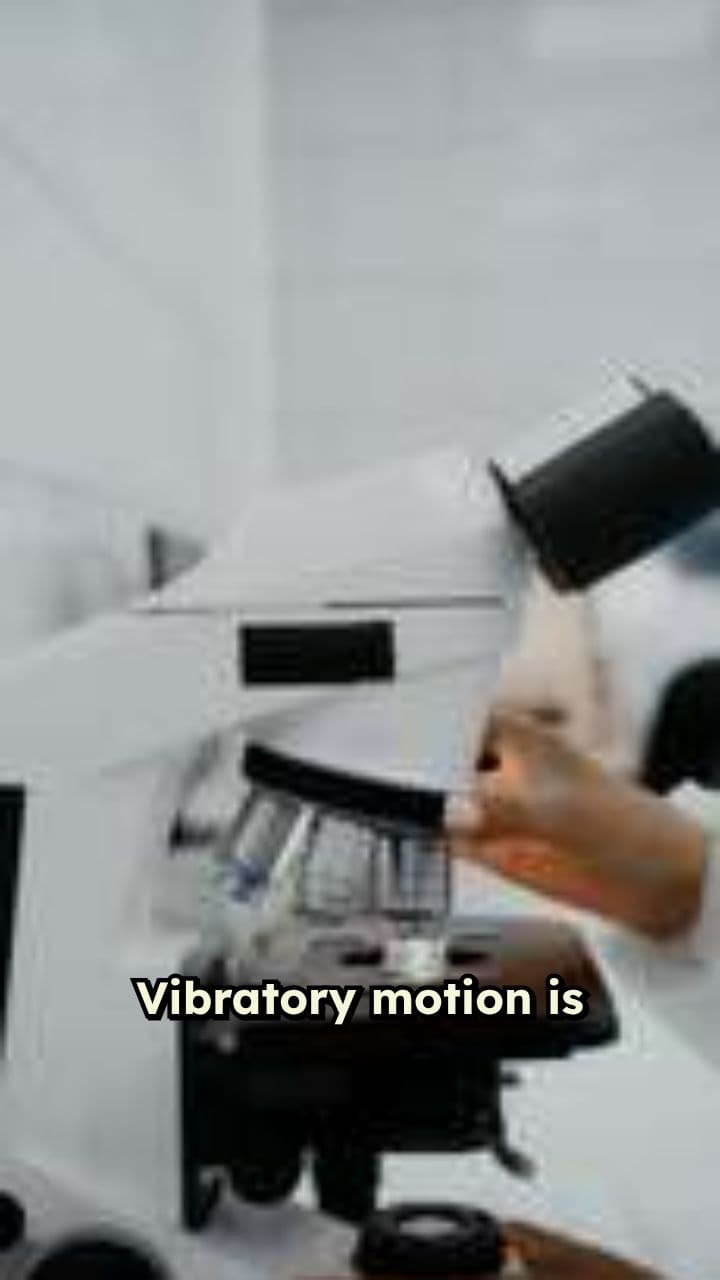 Vibratory Motion Demonstration