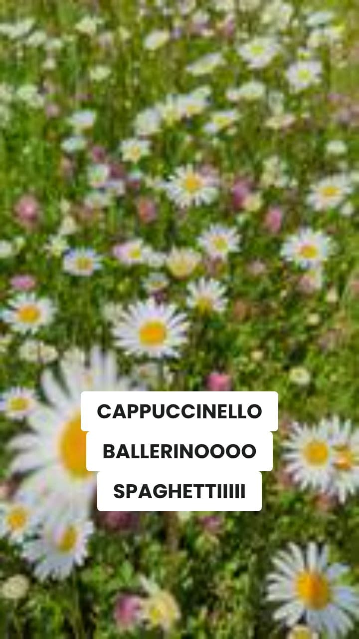 Il Cappuccino e il Cactu-Cane
