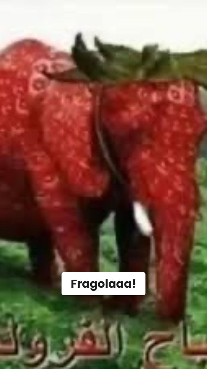 Elefante Fragolosissimo: La Grande Sete