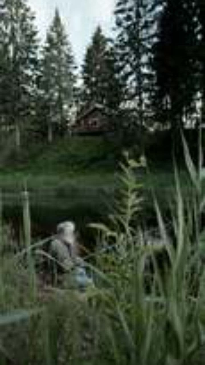 जादुई मछली की इच्छा