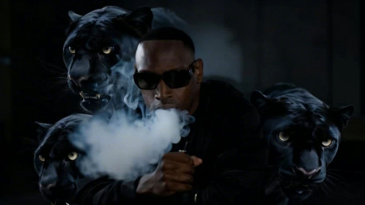 Image transform video