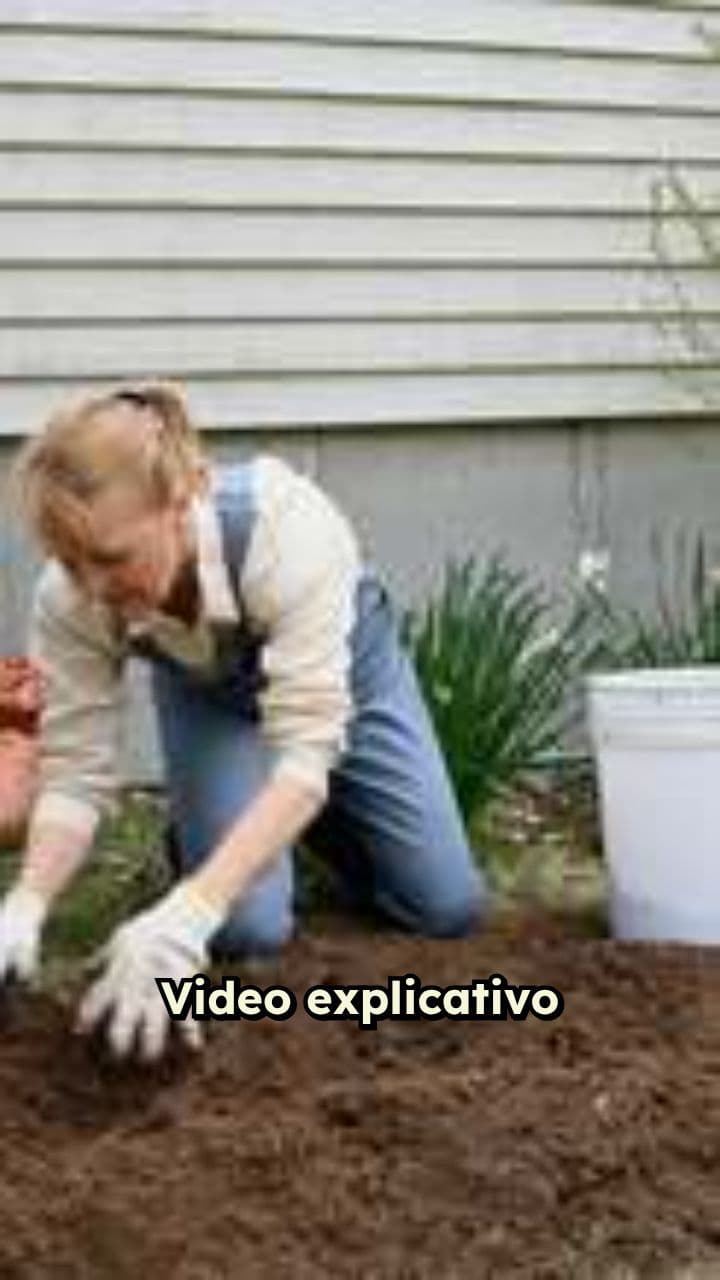 Fertilizante Natural: Video Explicativo