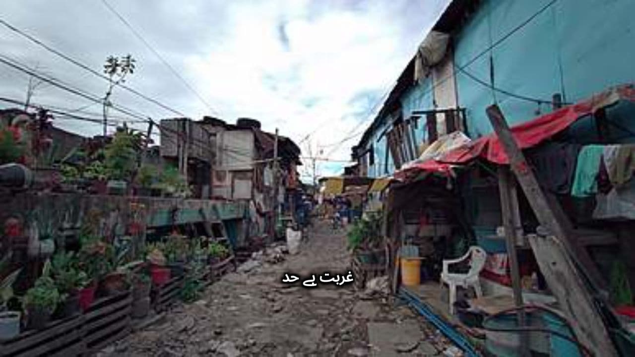 زندگی کی سختیاں اور انتقام کی ثقافت