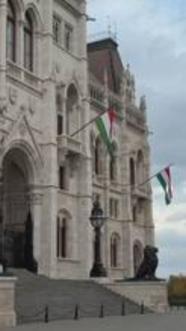 Neutered Nathan's Silent Title