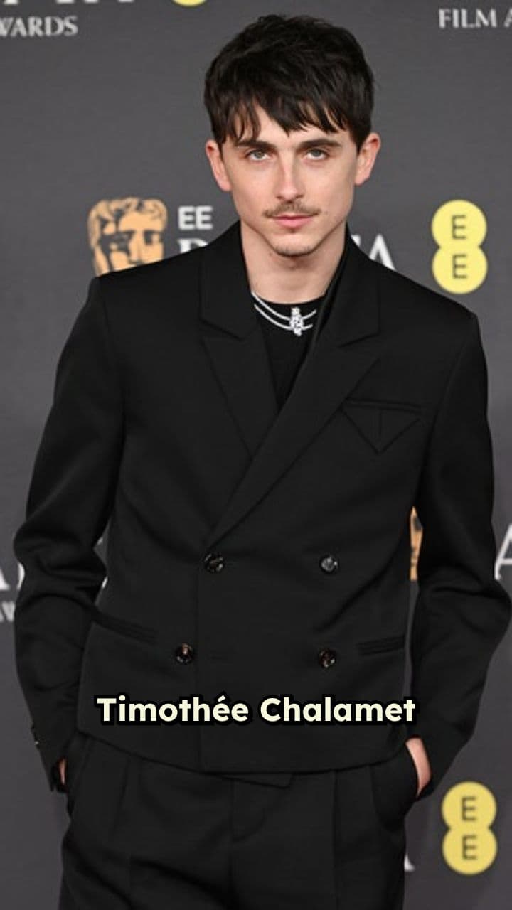 Timothée Chalamet Fuels Masked Rapper Mystery