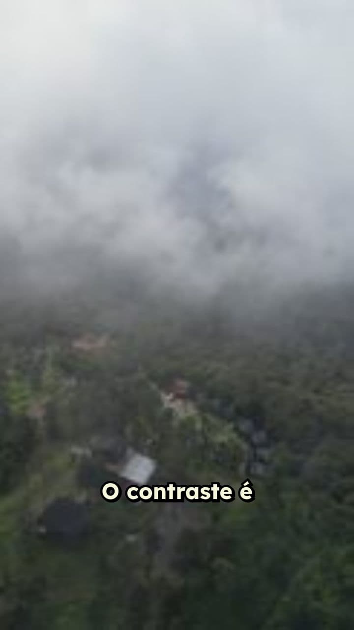 A Importância da Reciclagem