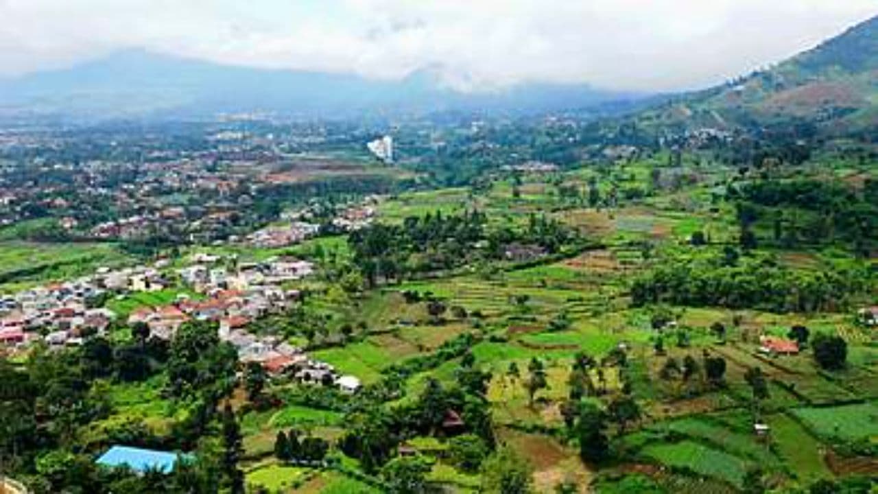 Transforming Telangana Agriculture with Micro Irrigation