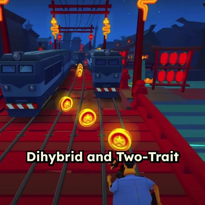 Dihybrid Crosses Explained