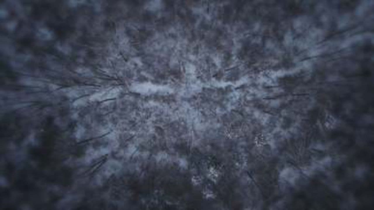 Клан ЧВК: В ночи на штурм