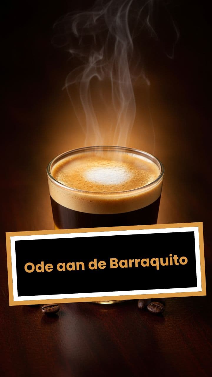 Ode aan de Barraquito
