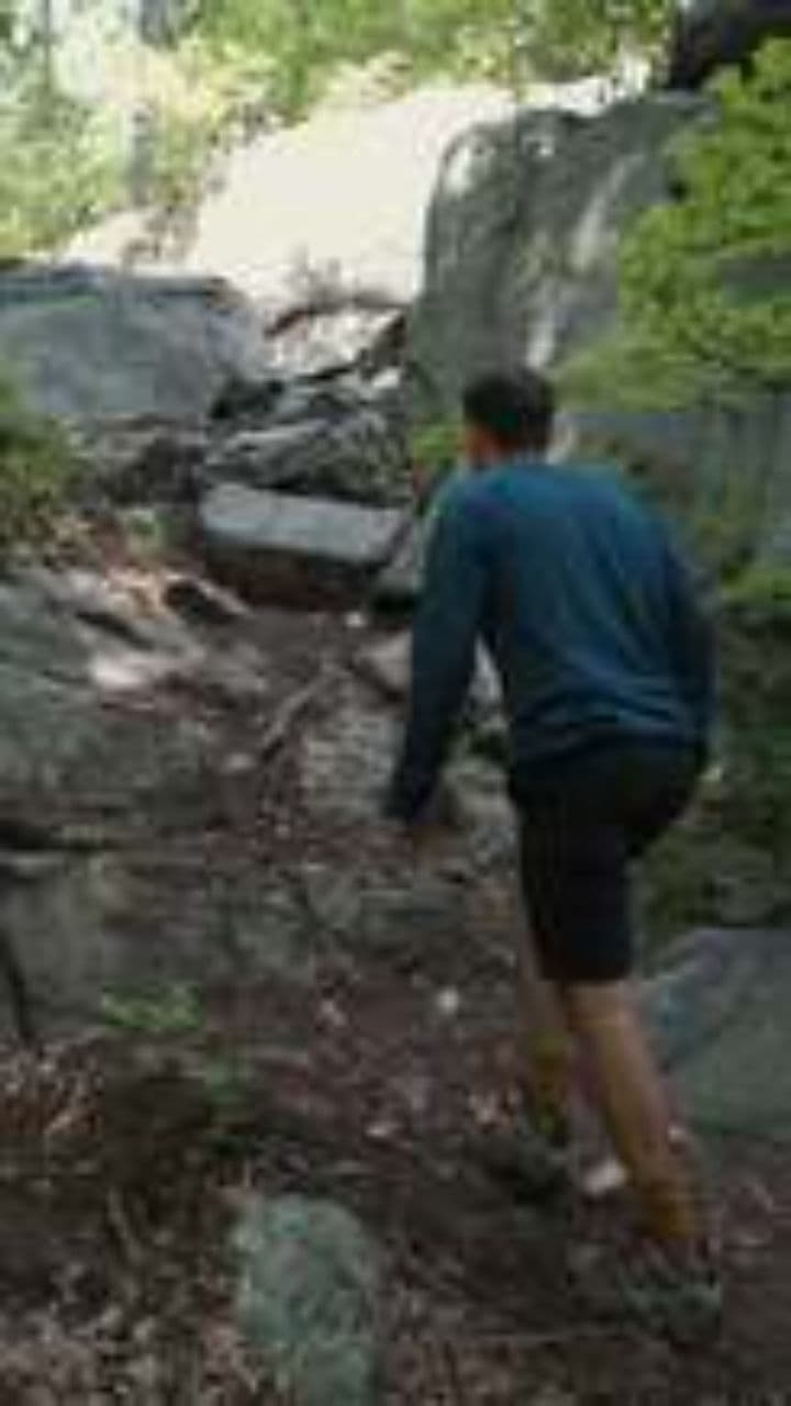 The Paradox of an Easy Life