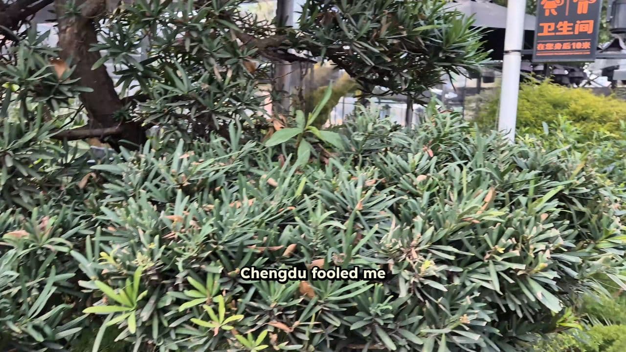 Chengdu: Recreating Tradition in Modernity