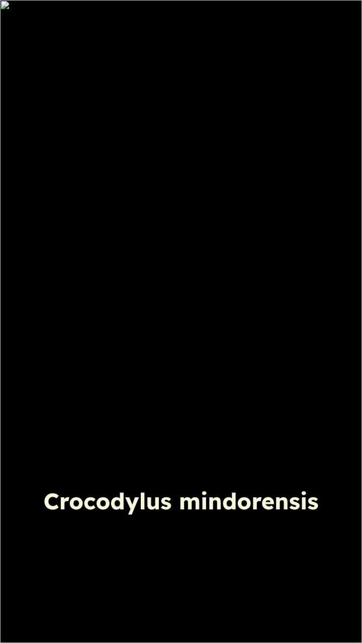 Endangered Species of the Philippines