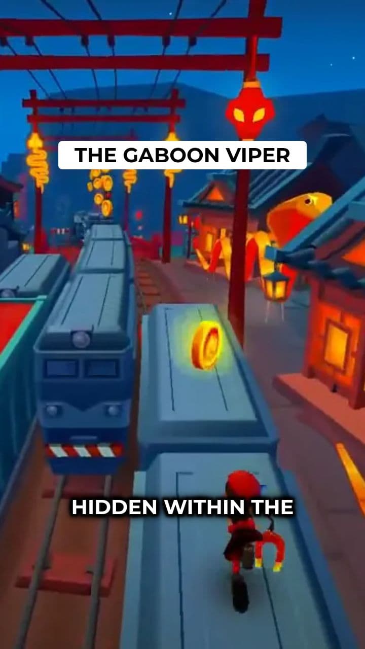 The Master of Disguise: Gaboon Viper